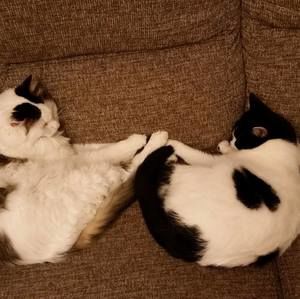 Meet your Posher, Kathy